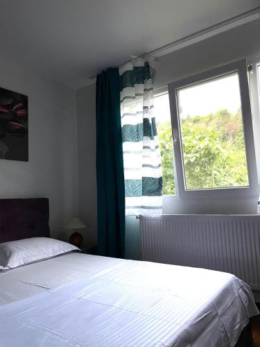 オルショバにあるApartament DANIのベッドと窓のある寝室