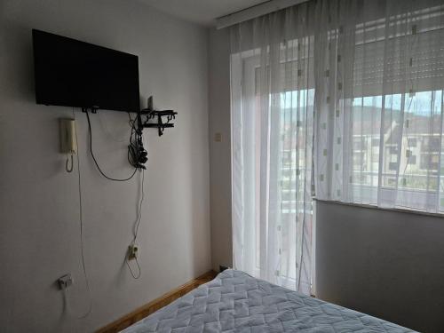 Televízia a/alebo spoločenská miestnosť v ubytovaní Apartman Bregovi