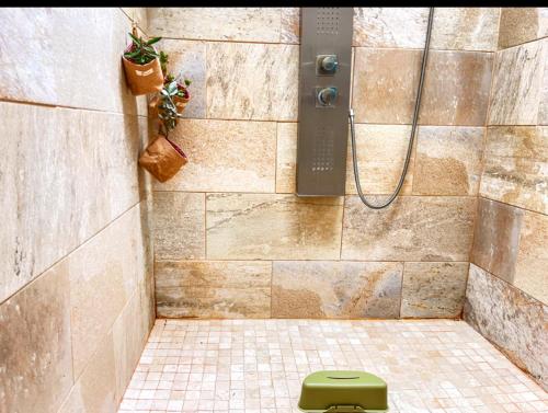 y baño con ducha y aseo verde. en LOFT DOA with panoramic views and Wifi San Marcos, en Icod de los Vinos
