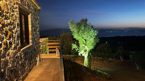 a tree sitting on the side of a building at Cassiopea Guest House Evia Greece in Nerotriviá