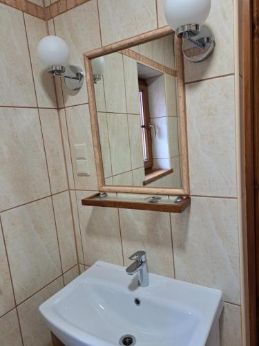 a bathroom with a sink and a mirror at Szachulcowa Zagroda in Ustka