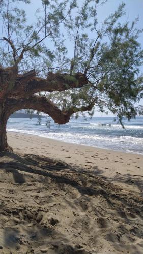 a tree on a sandy beach with the ocean at Sea View And Mountain View Apartment For 4 People in Makry Gialos