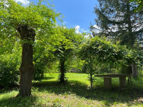 Jardín al aire libre en l'Oasi serena