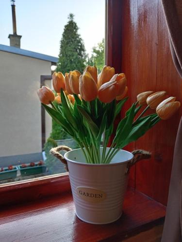 Photo de la galerie de l'établissement Apartman IVANA, à Vrdnik