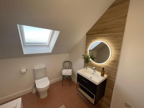bagno con servizi igienici e lavandino con lucernario di Two Bedroom Deluxe Sea View Guest Suite a Inis Mor