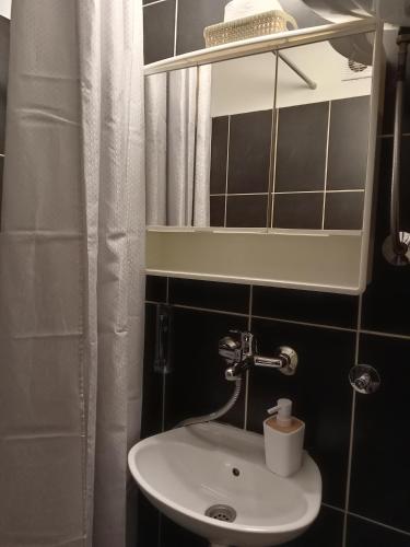 Salle de bains dans l'établissement Apartman IVANA
