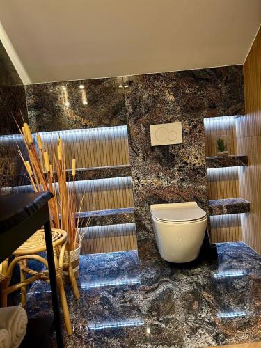 a bathroom with a toilet and some stairs at Willa Asia in Sromowce Niżne
