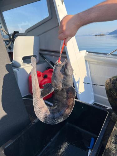 a man holding a fish in the back of a boat at Bestefarhuset in Hakkstabben
