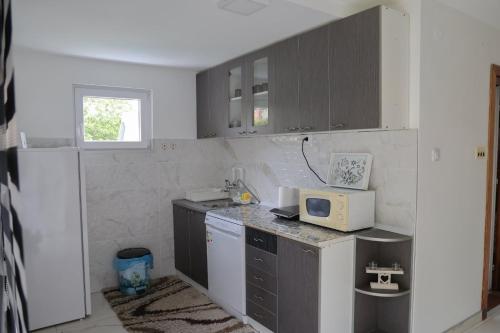 Apartman Nikolić في Kuršumlija: مطبخ مع حوض وميكروويف