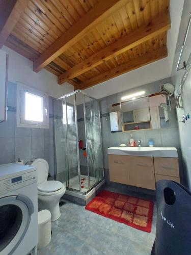 a bathroom with a shower and a toilet and a sink at Castelo Chalet Chios in Chios