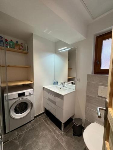 une salle de bain avec un lavabo et une machine à laver dans l'établissement Les chamois - Châtel hyper centre - 7 pers, à Châtel