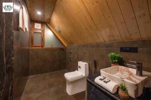 Koupelna v ubytování BlackPearl Cottage - Kufri
