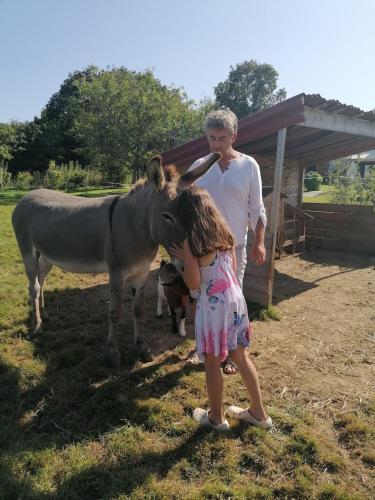 Zvířata v prázdninového domu nebo okolí