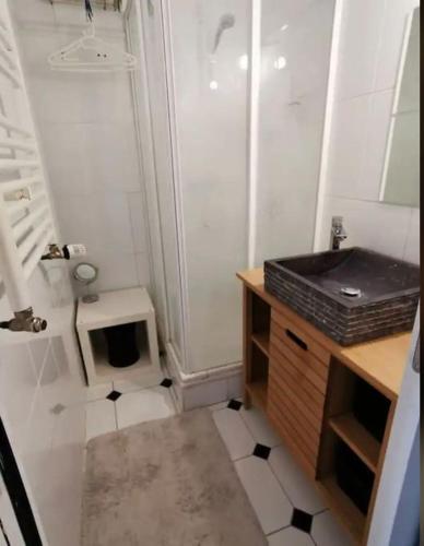 une petite salle de bain avec un lavabo et des toilettes dans l'établissement Appartement charmant et élégant de centre ville, à Caen
