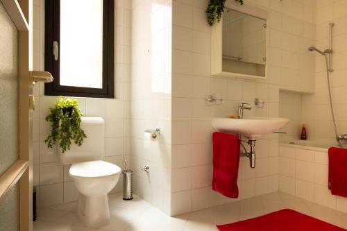 Un baño blanco con inodoro y lavabo. en Appartamento esclusivo - Piazza Grande Locarno, en Locarno