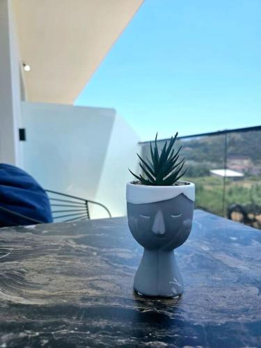 a plant in a toilet on a table at Ambelas Getaways in Himare