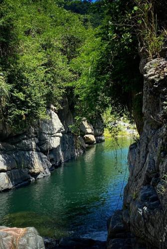a river with green water and rocks and trees at New! Mini Casa de Playa in Arecibo