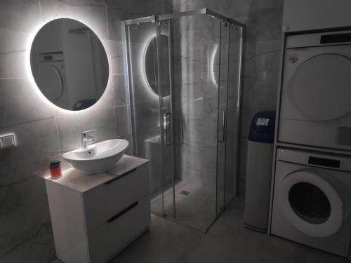 a bathroom with a shower and a sink and a washing machine at Aušros Alėjos Apartamentai in Šiauliai