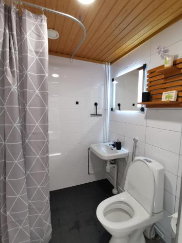 a bathroom with a toilet and a sink at Vuori Camp by Saimaa in Vuoriniemi