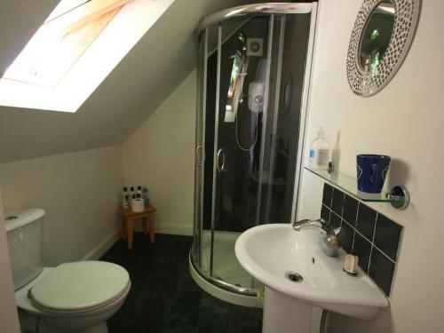 Un baño con ducha, inodoro y lavabo. en The Tree House, en Whitby
