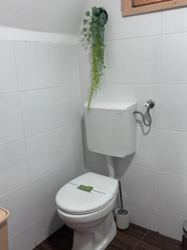 a bathroom with a toilet with a plant above it at Uvacki raj in Radijevići