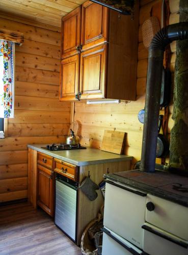 a kitchen with a stove top oven in a cabin at Na samote u lesa in Revúca