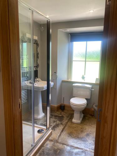 a bathroom with a toilet and a sink at Wee Kirkhill in Perth