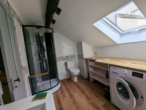 une salle de bain avec une douche, des toilettes et un lavabo dans l'établissement Au berceau de Troyes, à Troyes