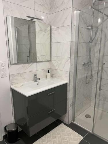 une salle de bain avec un lavabo et une douche dans l'établissement Appartement proche gare et centre-ville, à Angers