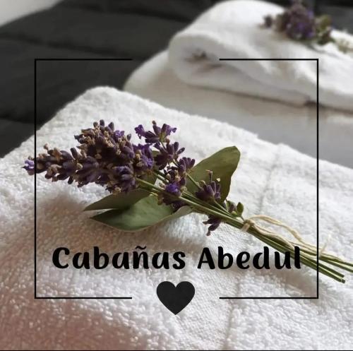 a bouquet of purple flowers sitting on a towel at Cabañas Abedul in Lago Meliquina