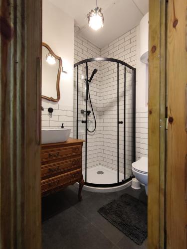 a bathroom with a shower and a sink and a toilet at Domek nad chrząszczem in Szczebrzeszyn