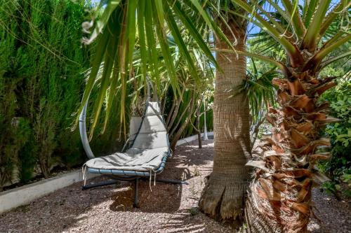 a swinging chair under a palm tree next to a palm tree at Villa FORTUNA - Apartamentos у Estudios para vacaciones con territorio y piscina común, Calpe in Calpe