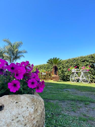 a rock with flowers and two bikes in a yard at Alto Giardino in Zambrone