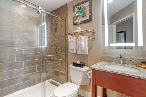 a bathroom with a shower and a toilet and a sink at Best Western Plus Greenville I-385 Inn & Suites in Greenville