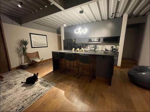 a black cat sitting on a rug in a kitchen at Depa Teo in Querétaro