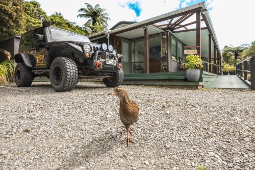 a bird standing in front of a jeep at Goldfield Suites in Greymouth