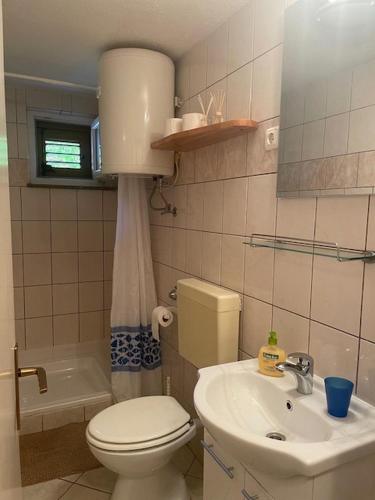 a bathroom with a white toilet and a sink at Apartments with parking space Sutivan, Brac - 5654 in Sutivan