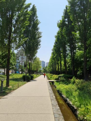 a walking path in a park with trees at Hongdae Luxury Private Single House with Big Open Balcony Perfect for a Family & Big Group 3BR, 5QB & 1SB, 2Toilet in Seoul