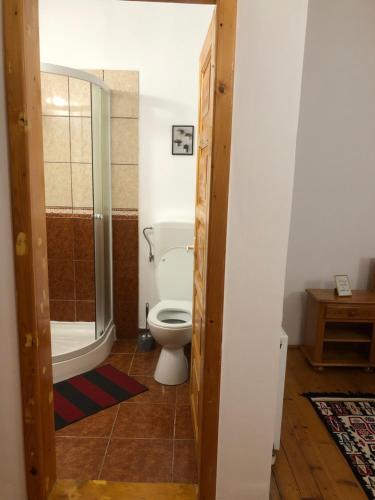 a bathroom with a toilet and a glass shower at Vila Rianna in Dunavăţu de Jos
