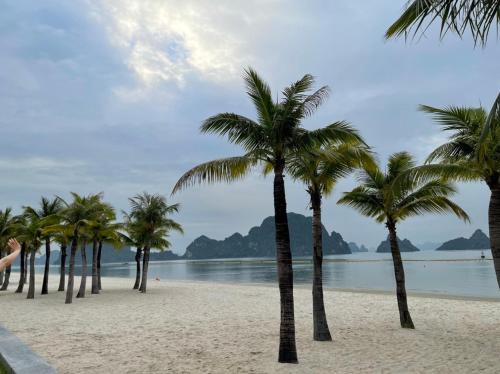 een groep palmbomen op een strand bij Hotel Me Kong 2 in Ha Long