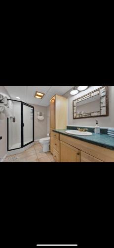ダイヤモンドポイントにあるLake George Serene Retreatのバスルーム(洗面台、トイレ付)