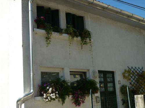 a white building with potted plants on the side of it at B&B Cappuccini in Schio