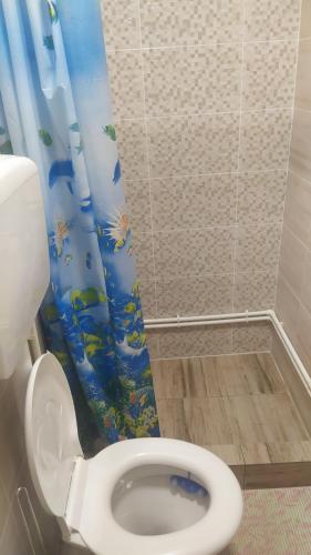 Ένα μπάνιο στο Hegyköztábor