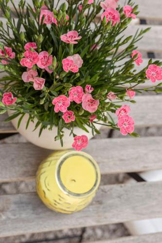a vase with pink flowers in it on a table at Under the rock house in Osp with jacuzzi in Osp