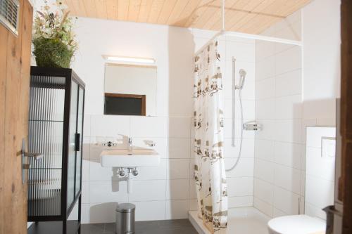 Alpine Hut Acla Sissi Lenzerheide for 10 people tesisinde bir banyo