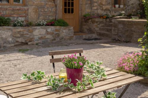 a wooden bench with a potted plant on it at Under the rock house in Osp with jacuzzi in Osp