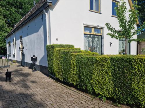 a cat walking past a hedge next to a building at Het Voorhuis in Deest