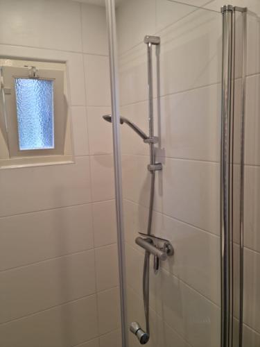 a shower with a glass door in a bathroom at Het Voorhuis in Deest