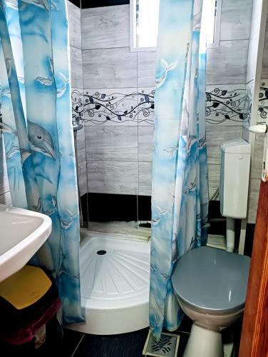 a bathroom with a shower with a toilet and a sink at Casa Emilia in Vatra Dornei