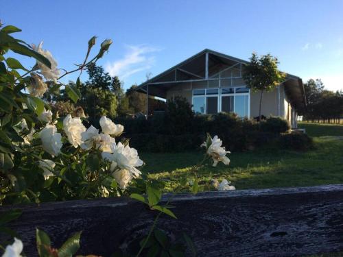 a house with white flowers in front of it at Ironcroft Hunter Valley Wine Country in Nulkaba